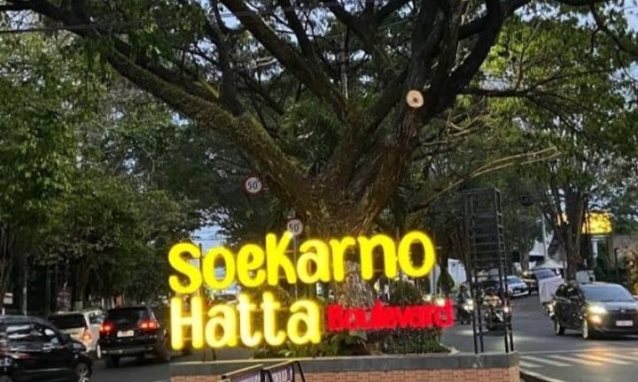 Kadis Lingkungan Hidup Kota Malang Tanam Pohon Tabebuya untuk Penghijauan di Jalan Soekarno-Hatta