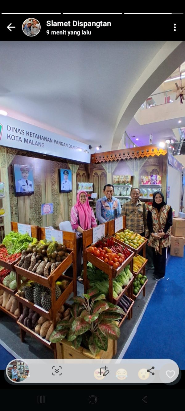 Ketahanan Pangan Kota Malang Kuat Meski Lahan Menyusut
